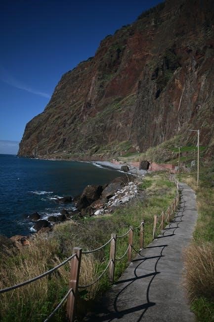 os códigos do milhão pdf